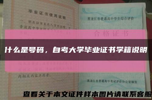 什么是號碼，自考大學畢業證書學籍說明縮略圖