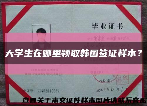 大學生在哪里領取韓國簽證樣本？縮略圖
