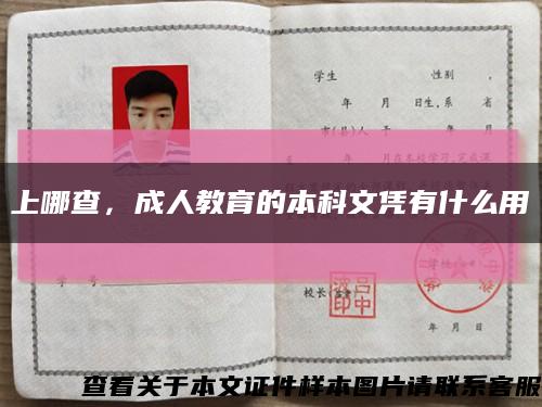 上哪查，成人教育的本科文憑有什么用縮略圖