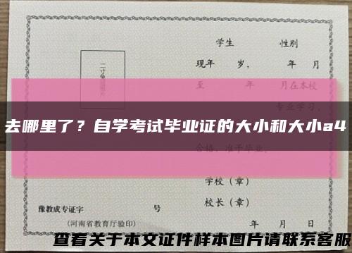 去哪里了？自學考試畢業證的大小和大小a4縮略圖