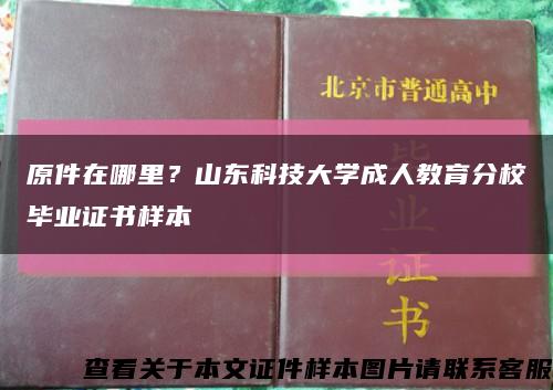 原件在哪里？山東科技大學成人教育分校畢業證書樣本縮略圖