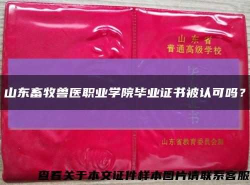 山東畜牧獸醫職業學院畢業證書被認可嗎？縮略圖