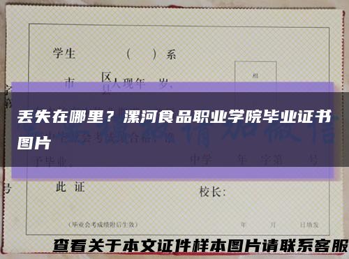 丟失在哪里？漯河食品職業學院畢業證書圖片縮略圖