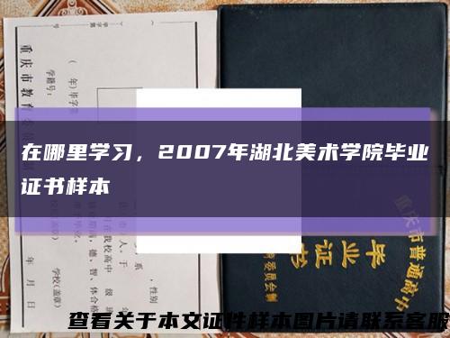 在哪里學習，2007年湖北美術學院畢業證書樣本縮略圖