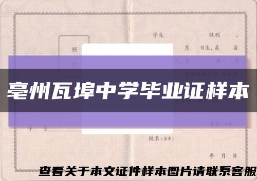 亳州瓦埠中學畢業證樣本縮略圖