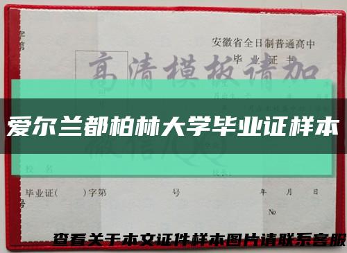 愛爾蘭都柏林大學畢業證樣本縮略圖