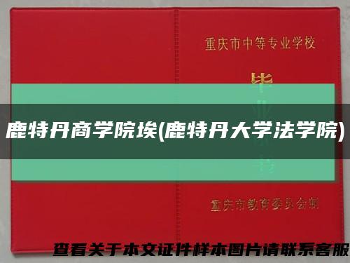 鹿特丹商學院埃(鹿特丹大學法學院)縮略圖
