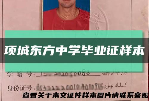 項城東方中學畢業證樣本縮略圖