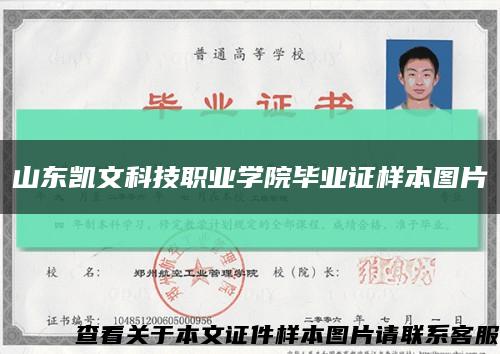 山東凱文科技職業學院畢業證樣本圖片縮略圖