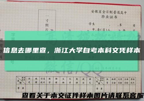 信息去哪里查，浙江大學自考本科文憑樣本縮略圖