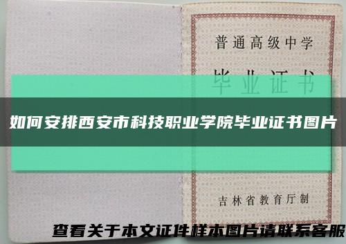 如何安排西安市科技職業學院畢業證書圖片縮略圖