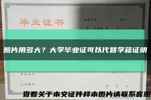 照片用多大？大學畢業證可以代替學籍證明縮略圖