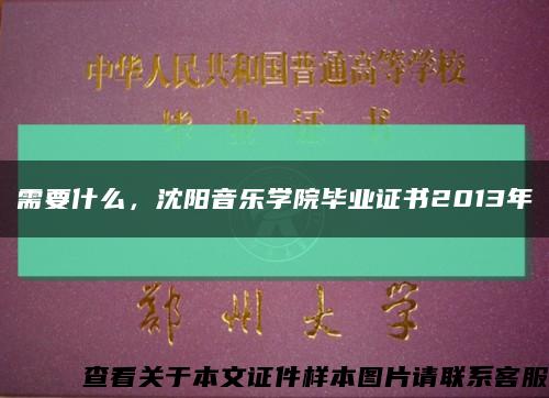 需要什么，沈陽音樂學院畢業證書2013年縮略圖