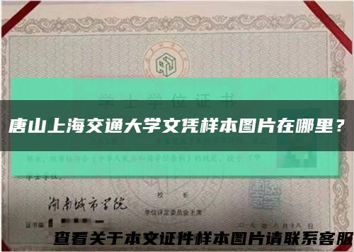 唐山上海交通大學文憑樣本圖片在哪里？縮略圖