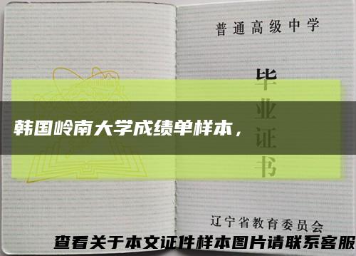韓國嶺南大學成績單樣本，????? ???縮略圖