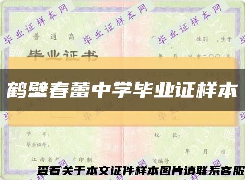 鶴壁春蕾中學畢業證樣本縮略圖