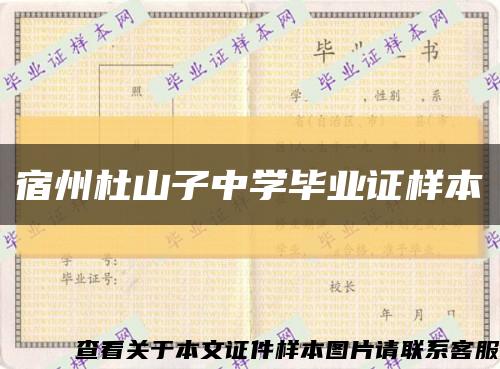 宿州杜山子中學畢業證樣本縮略圖