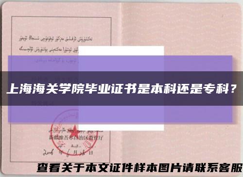 上海海關學院畢業證書是本科還是?？?？縮略圖