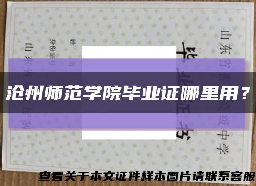 滄州師范學院畢業證哪里用？縮略圖
