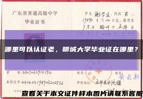 哪里可以認證老，聊城大學畢業證在哪里？縮略圖