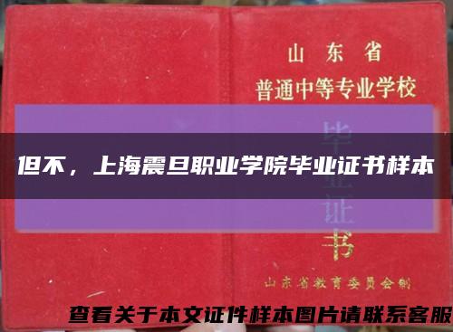 但不，上海震旦職業學院畢業證書樣本縮略圖