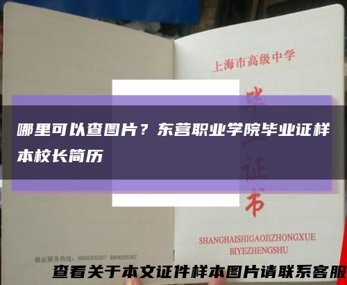 哪里可以查圖片？東營職業學院畢業證樣本校長簡歷縮略圖