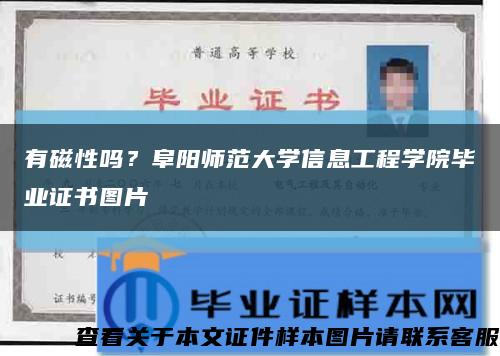 有磁性嗎？阜陽師范大學信息工程學院畢業證書圖片縮略圖