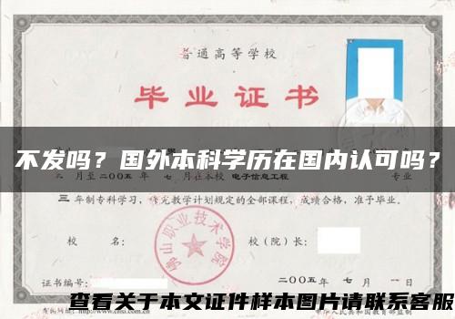 不發嗎？國外本科學歷在國內認可嗎？縮略圖