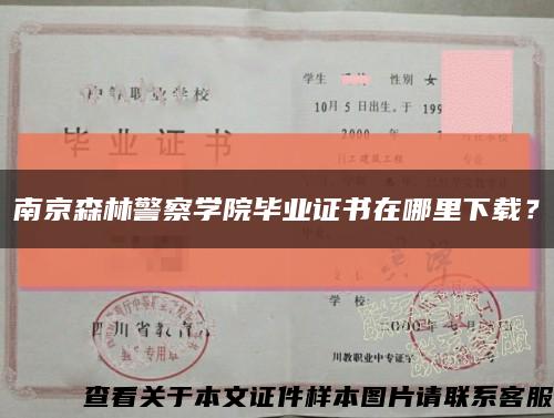 南京森林警察學院畢業證書在哪里下載？縮略圖