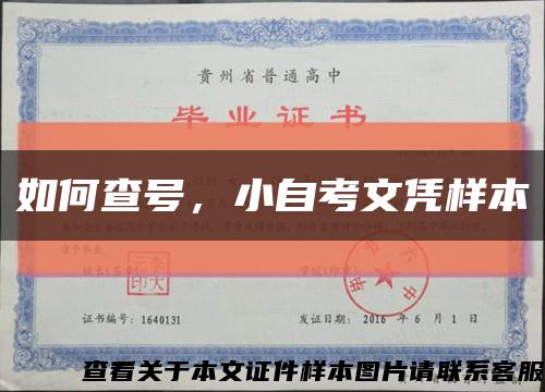 如何查號，小自考文憑樣本縮略圖