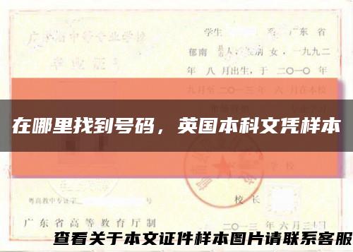 在哪里找到號碼，英國本科文憑樣本縮略圖