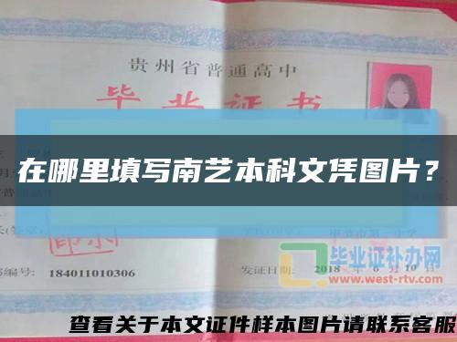 在哪里填寫南藝本科文憑圖片？縮略圖