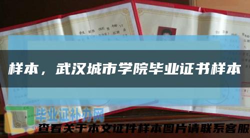 樣本，武漢城市學院畢業證書樣本縮略圖