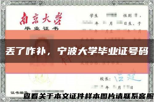 丟了咋補，寧波大學畢業證號碼縮略圖