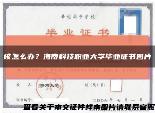 該怎么辦？海南科技職業大學畢業證書圖片縮略圖