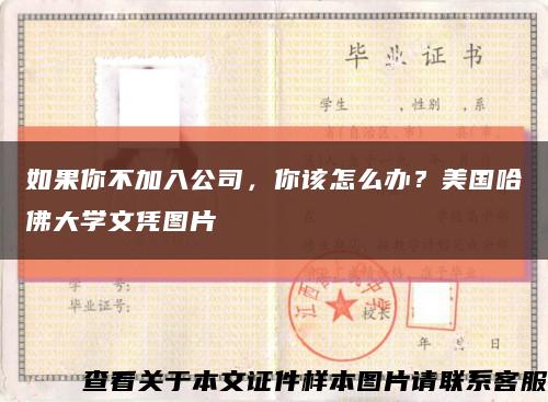 如果你不加入公司，你該怎么辦？美國哈佛大學文憑圖片縮略圖