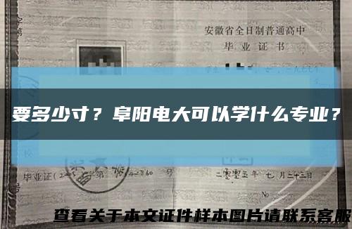 要多少寸？阜陽電大可以學什么專業？縮略圖