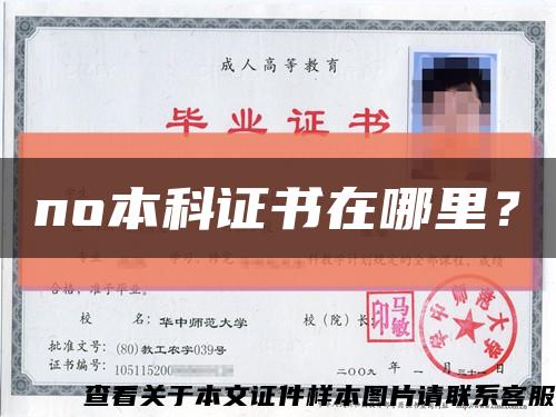 no本科證書在哪里？縮略圖