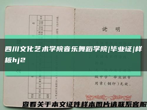 四川文化藝術學院音樂舞蹈學院|畢業證|樣板hj2縮略圖