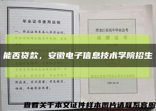 能否貸款，安徽電子信息技術學院招生縮略圖