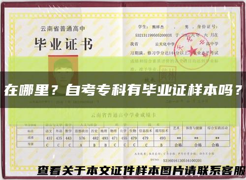在哪里？自考?？朴挟厴I證樣本嗎？縮略圖