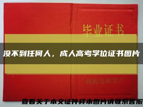 沒不到任何人，成人高考學位證書圖片縮略圖