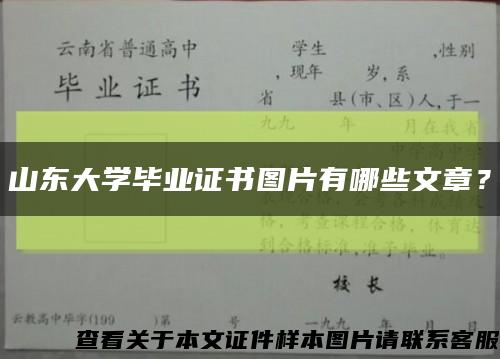 山東大學畢業證書圖片有哪些文章？縮略圖