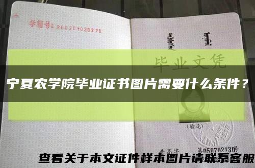 寧夏農學院畢業證書圖片需要什么條件？縮略圖