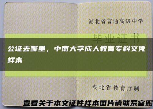 公證去哪里，中南大學成人教育?？莆膽{樣本縮略圖