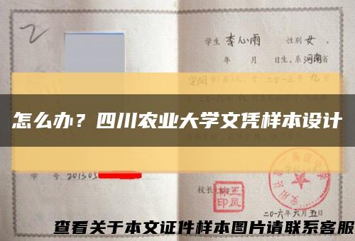 怎么辦？四川農業大學文憑樣本設計縮略圖