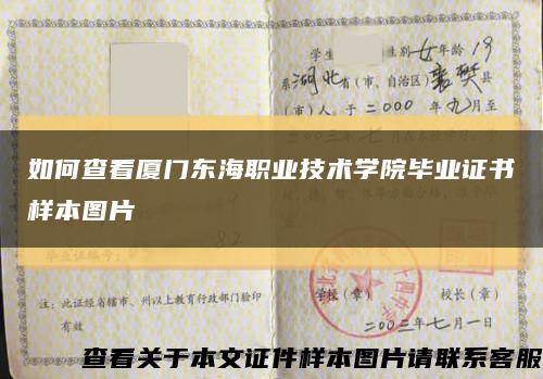 如何查看廈門東海職業技術學院畢業證書樣本圖片縮略圖