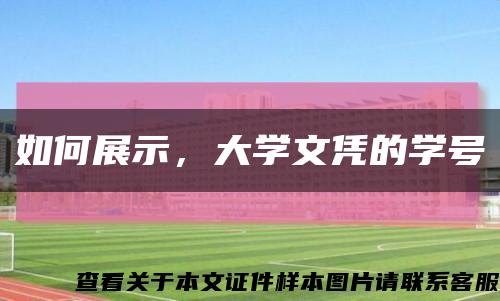 如何展示，大學文憑的學號縮略圖
