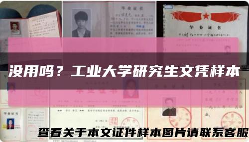 沒用嗎？工業大學研究生文憑樣本縮略圖
