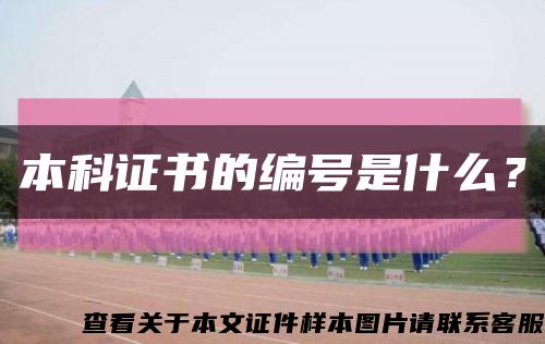 本科證書的編號是什么？縮略圖